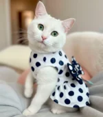 Vestido Luna Paris - Imagen 2
