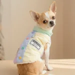 Chaqueta Petit Royal