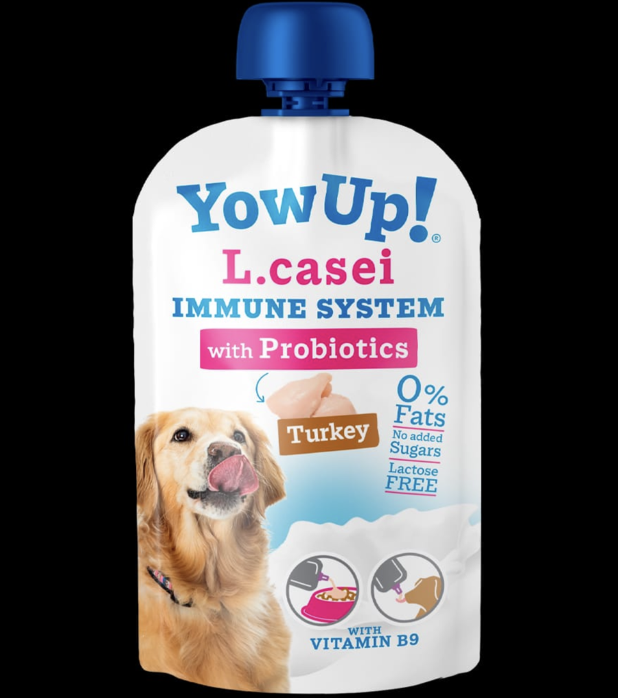 380006 YowUp! L-CASEI - Imagen 1
